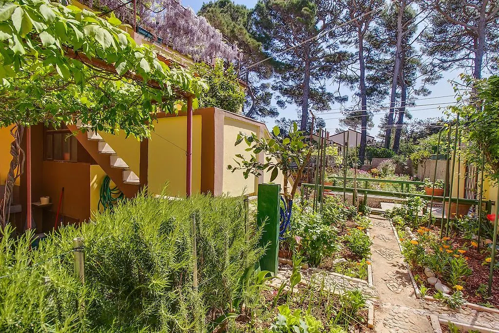 Apartments Petra Mali Losinj